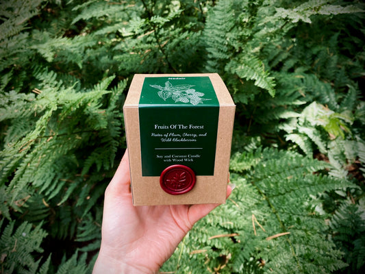 Fruits of the Forest Candle